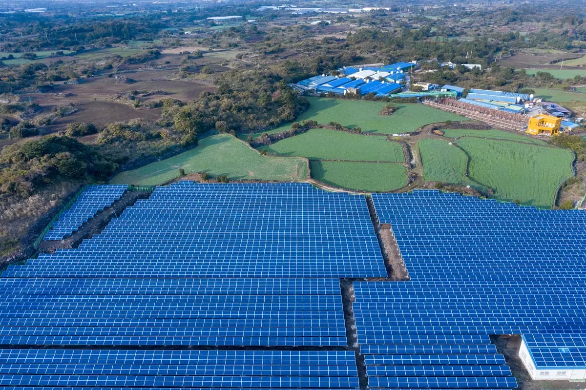 영농형 태양광 발전소 설치 현장 3