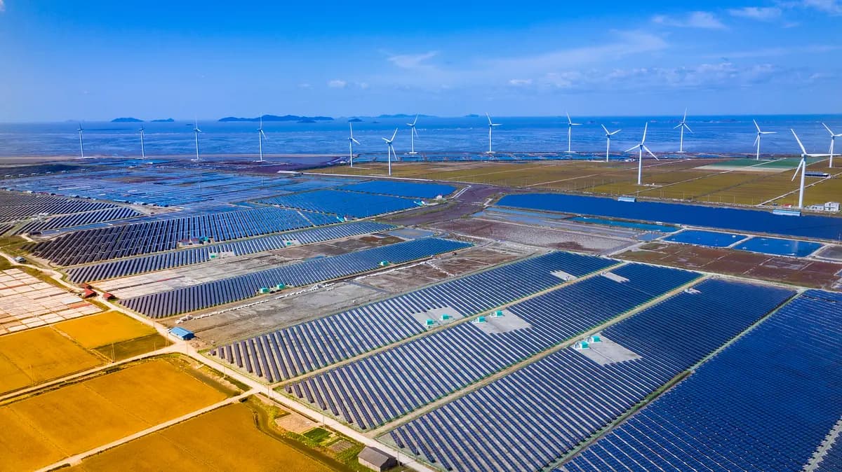 영농형 태양광 발전소 설치 현장 4